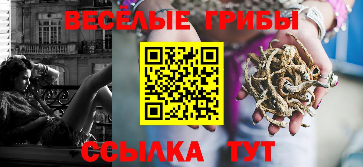 Галлюциногенные грибы Psilocybine cubensis  Вход с VPN  Малгобек 