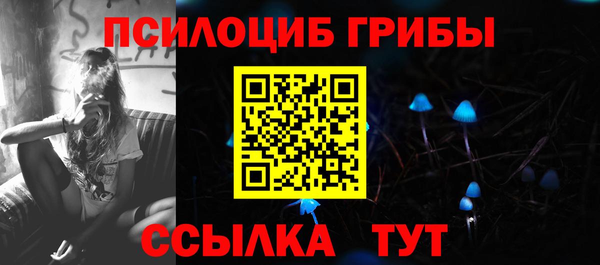 Псилоцибиновые грибы GOLDEN TEACHER Малгобек